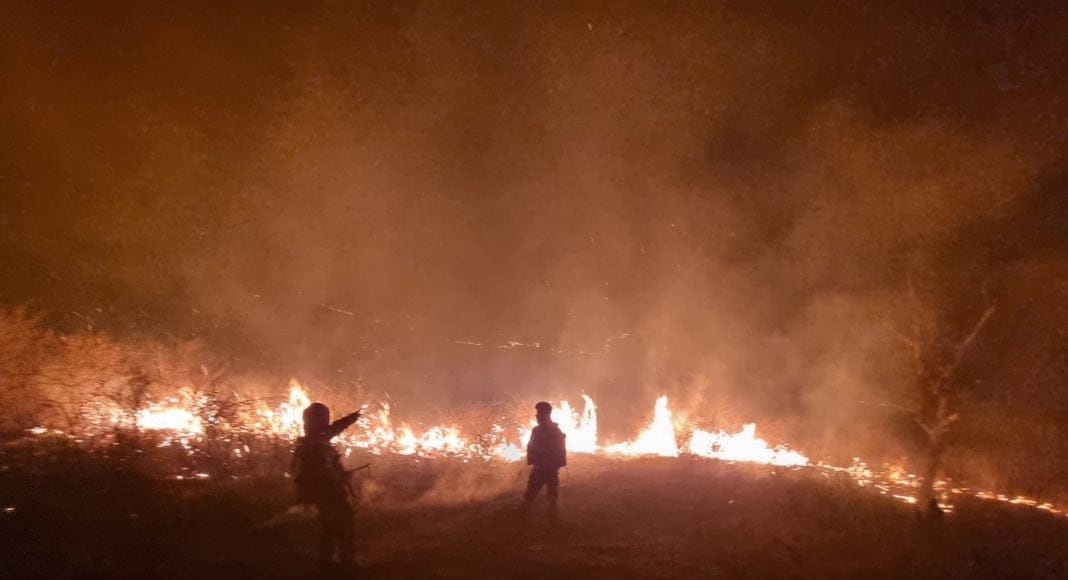 incendiu păcureți