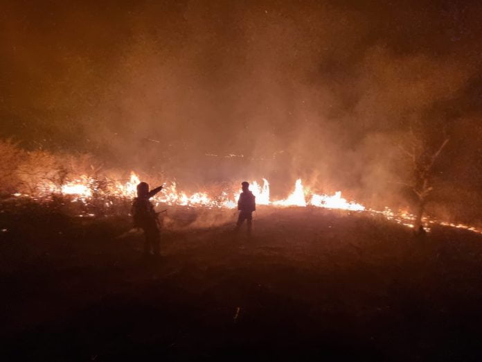 incendiu păcureți