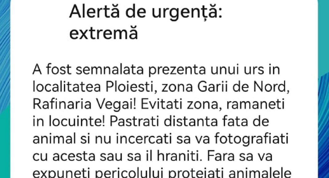 Mesaj Ro Alert - prezență urs în Ploiești