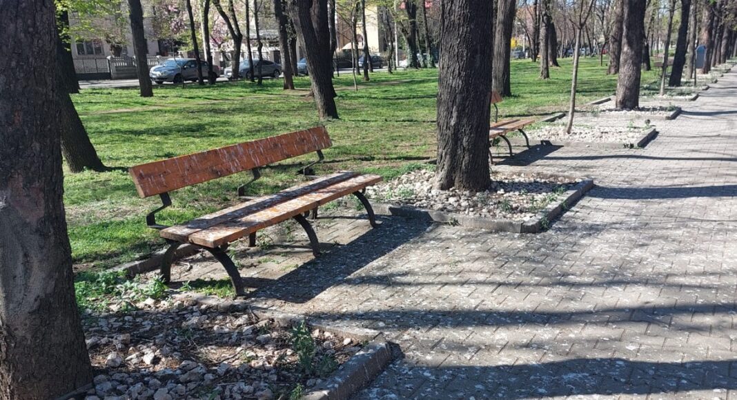 gainat ciori bulevard ploiesti