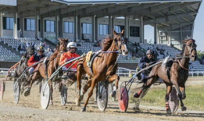 curse Hipodrom Ploiesti