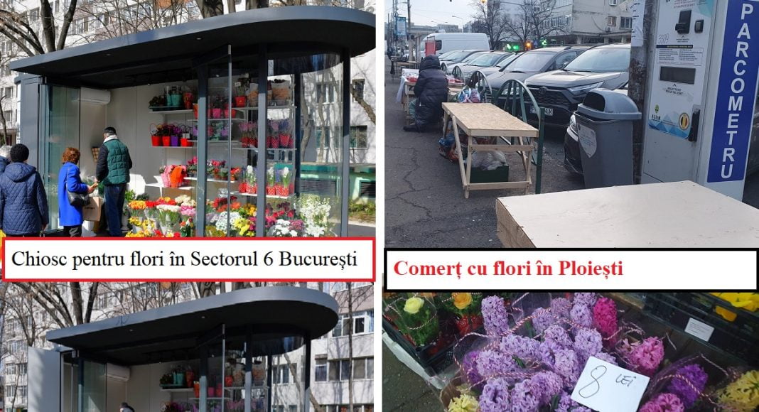 comert flori Sector 6 vs comert Ploiesti