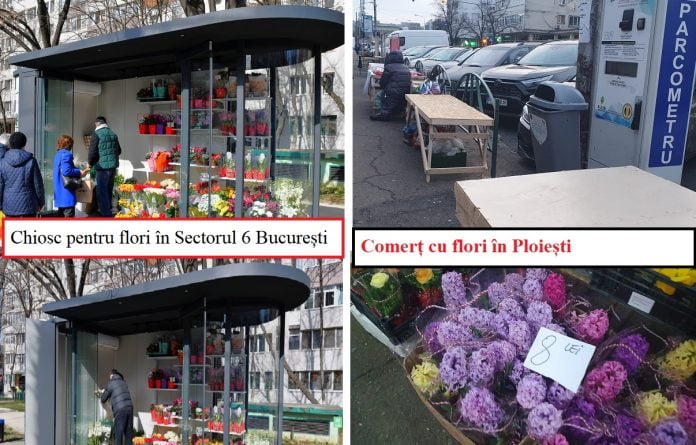 comert flori Sector 6 vs comert Ploiesti