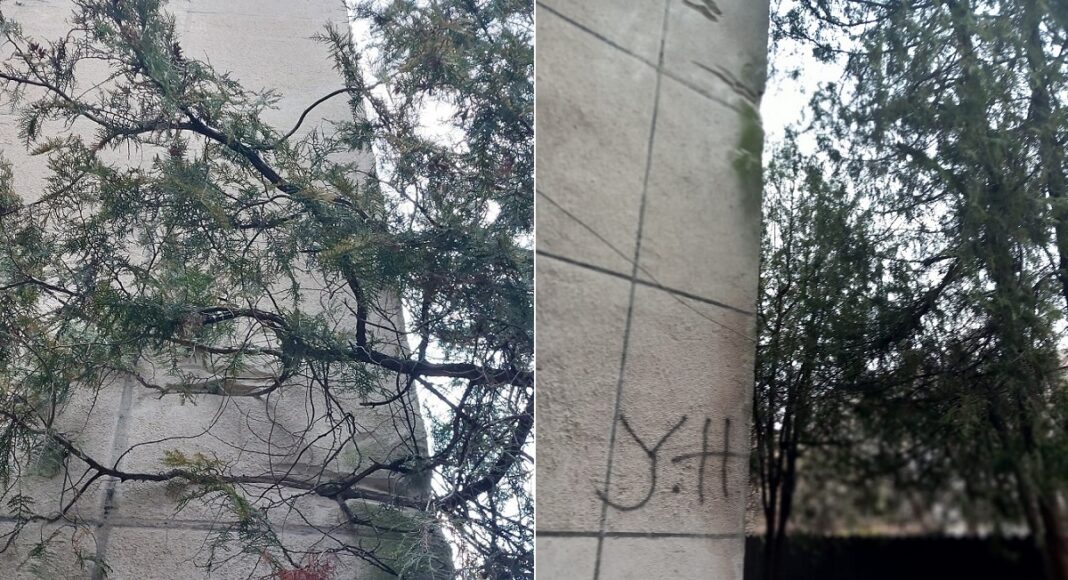 copac bloc ploiesti