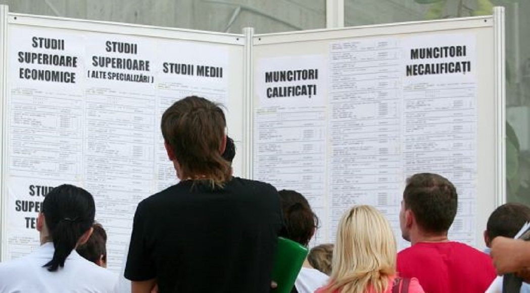 locuri munca