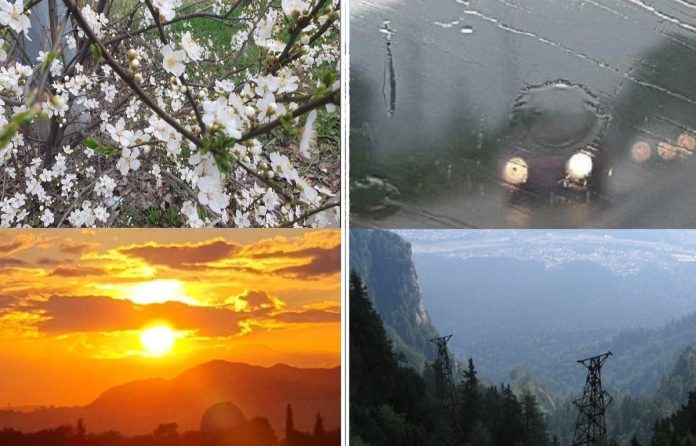 copac flori ploaie soare munte