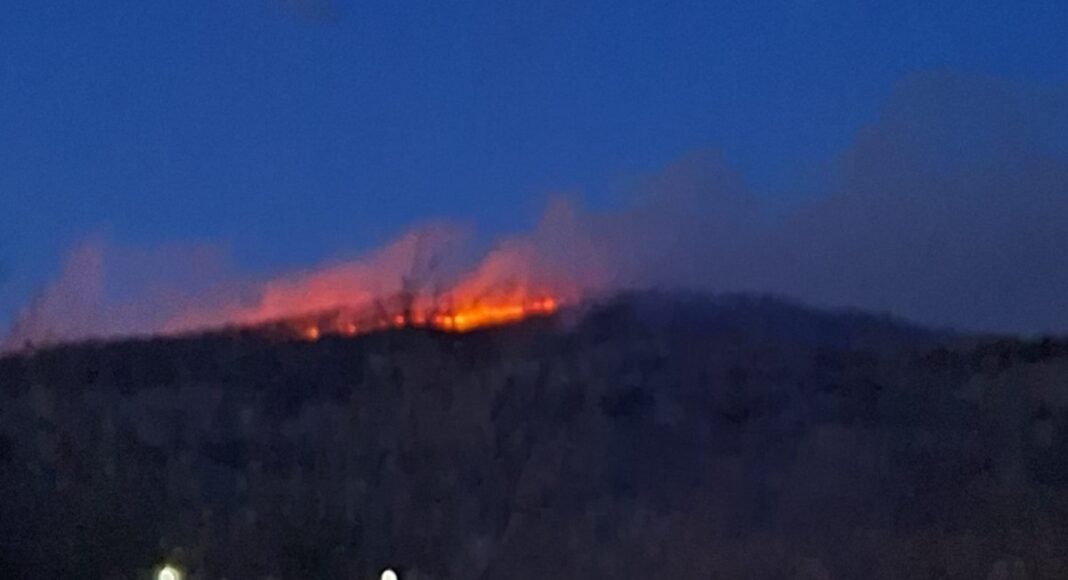 incendiu padure slanic
