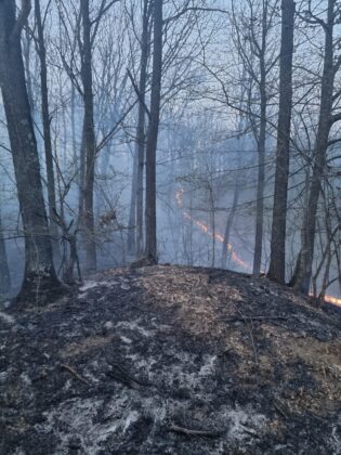 incendiu vegetatie soimari