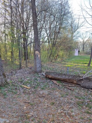 vant puternic parc bucov