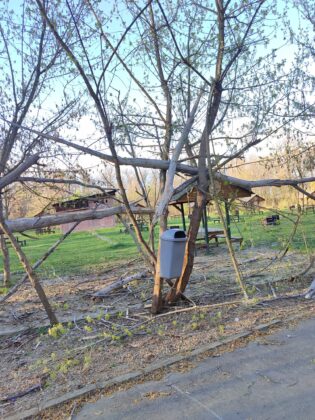 vant puternic parc bucov