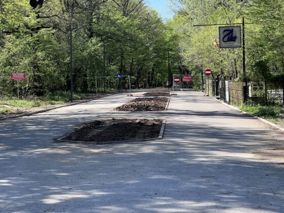 promenada paulesti