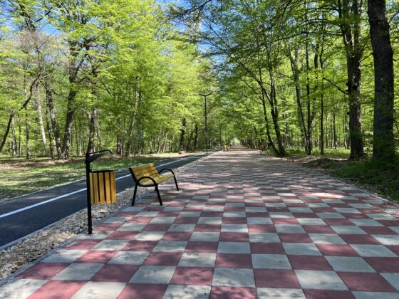 promenada paulesti