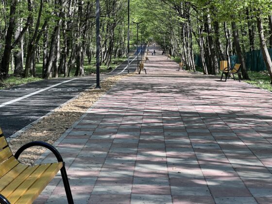 promenada paulesti