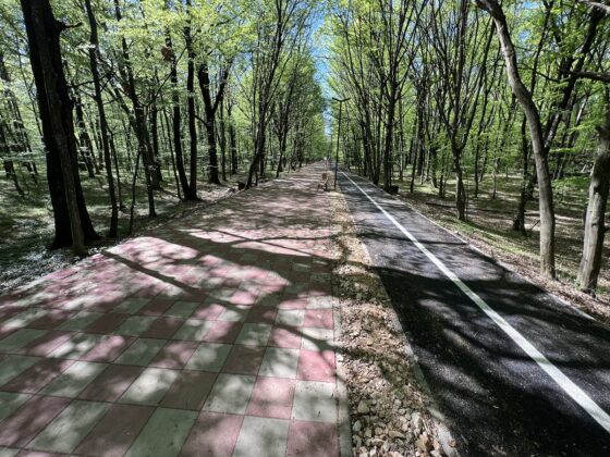 promenada paulesti