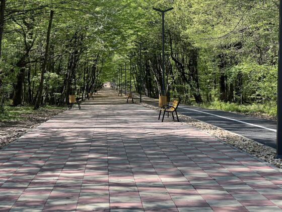 promenada paulesti