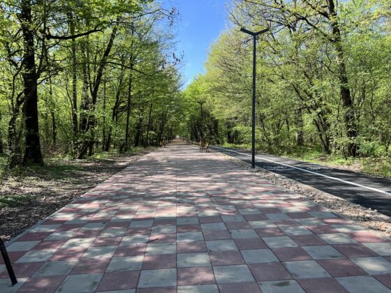 promenada paulesti