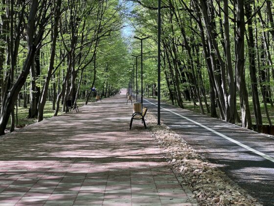 promenada paulesti
