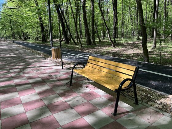 promenada paulesti