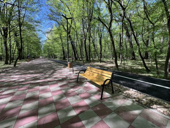 promenada paulesti