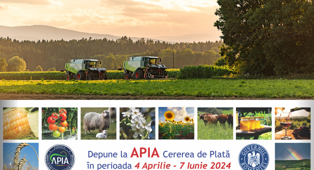 pucheni apia