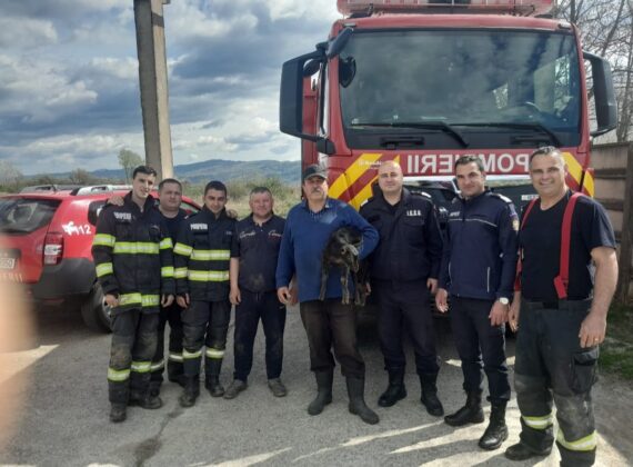 salvare ied valenii de munte