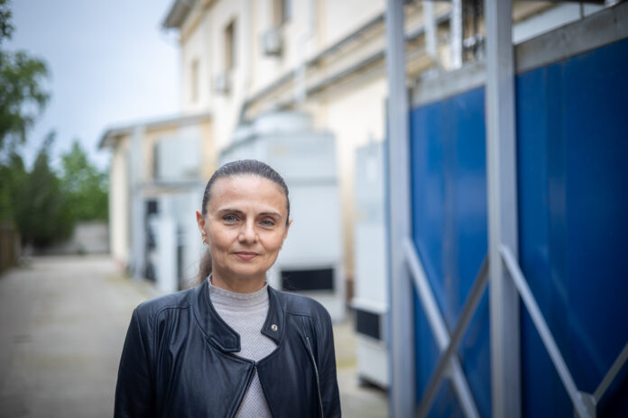 Irina Filip creamland.jpg