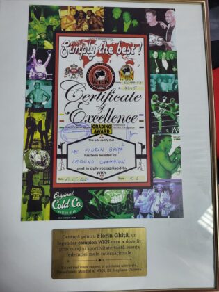 florin ghita kickboxing