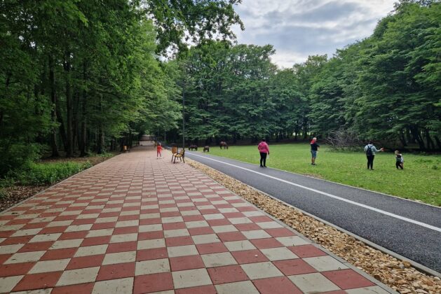 promenada paulesti