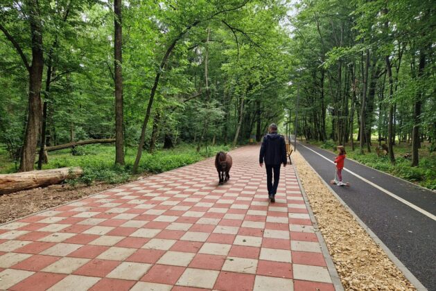 promenada paulesti
