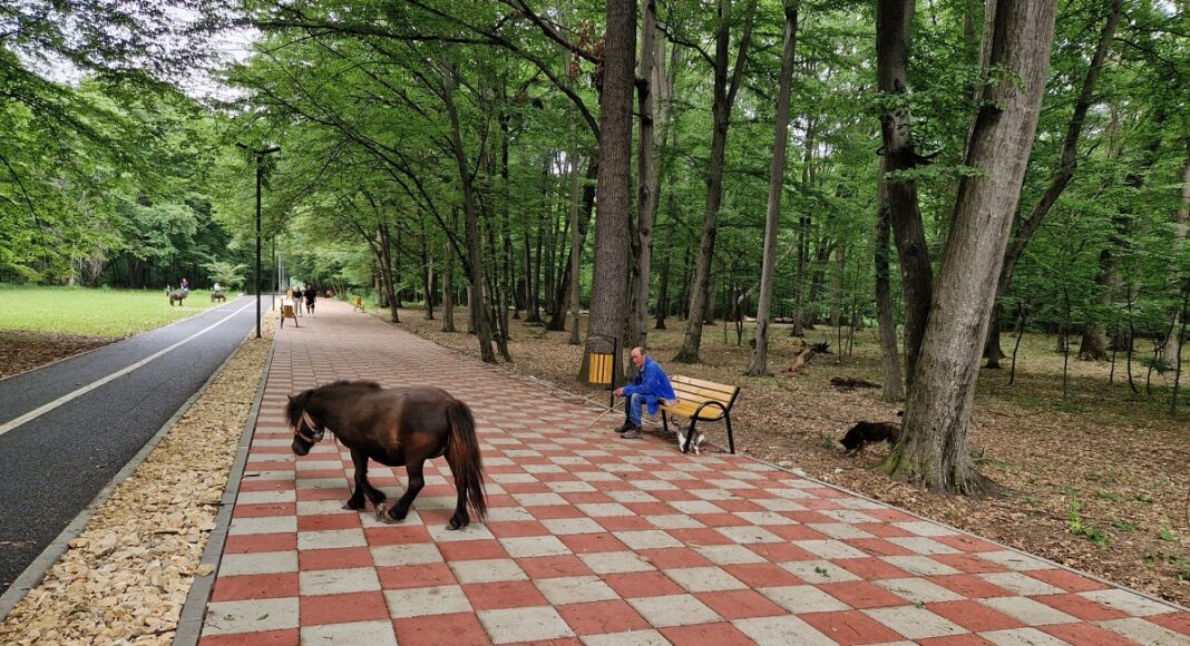 promenada paulesti