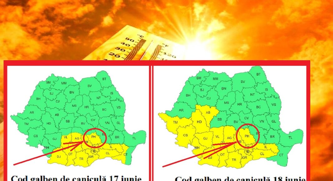 cod galben de caniculă