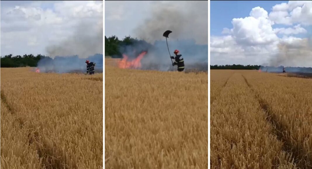 incendiu vegetatie