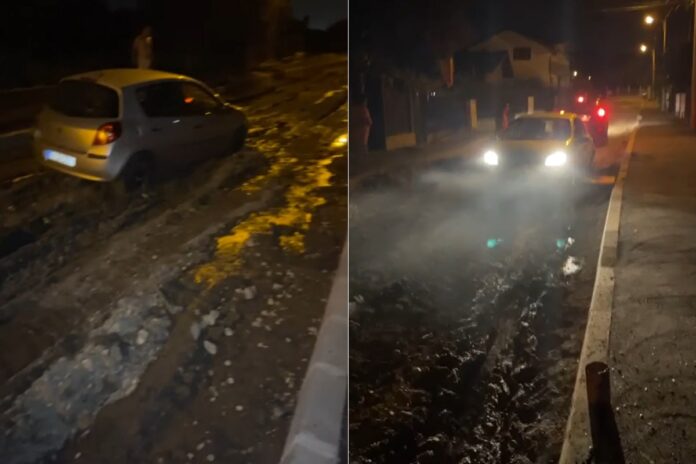 noroi pictor rosenthal