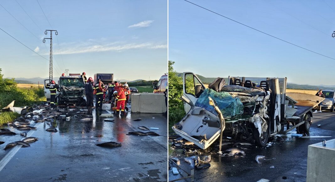 accident mortal dn1 camion pești