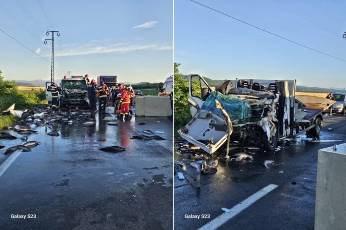 accident mortal dn1 camion pești