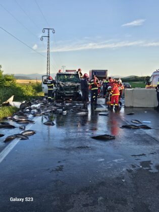 pesti accident mortal dn1