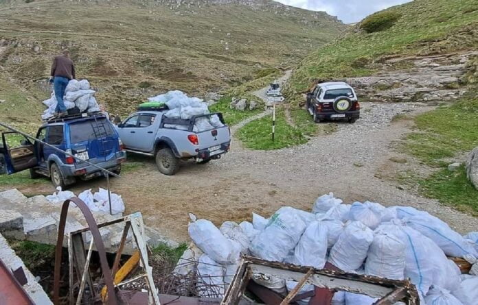 curatenie platoul bucegi