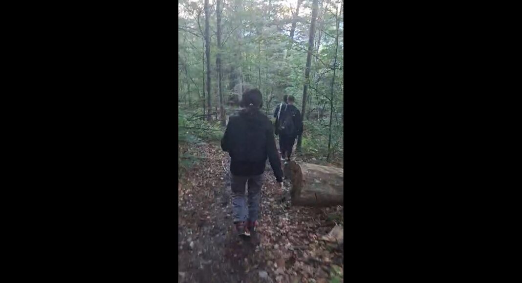 turisti salvati jepii mari