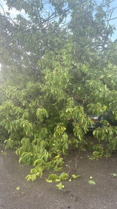 avarii furtuna ploiesti