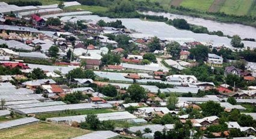 balta doamnei