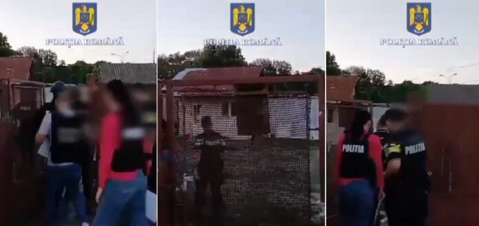 perchezitii bereasca