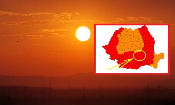 Cod Roșu - ANM