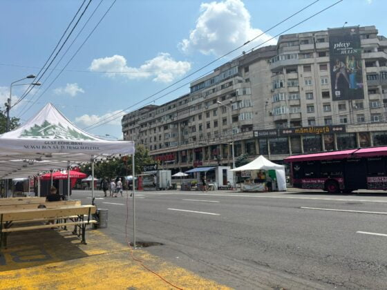 festival alfabetul convietuirii