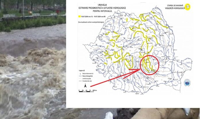 cod galben inundatii