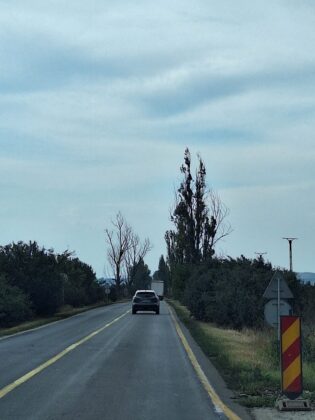 copaci uscati drum national prahova