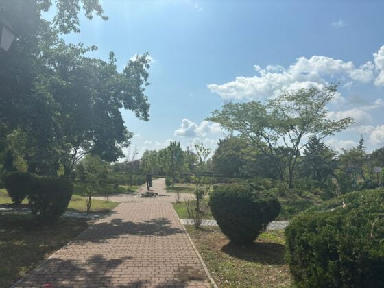 parcuri ploiesti 2024