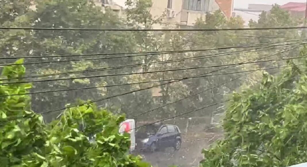 vijelie ploiesti