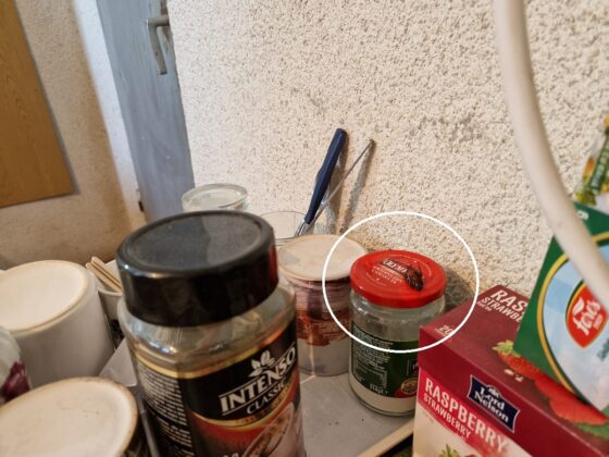 depozit manuale ploiesti