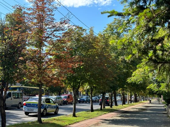 lucrari bulevard ploiesti