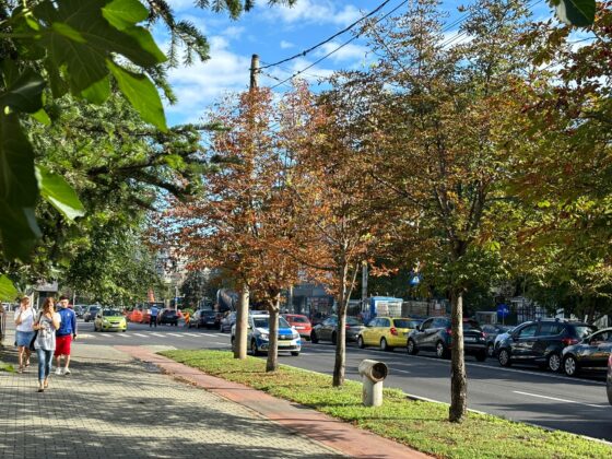 lucrari bulevard ploiesti